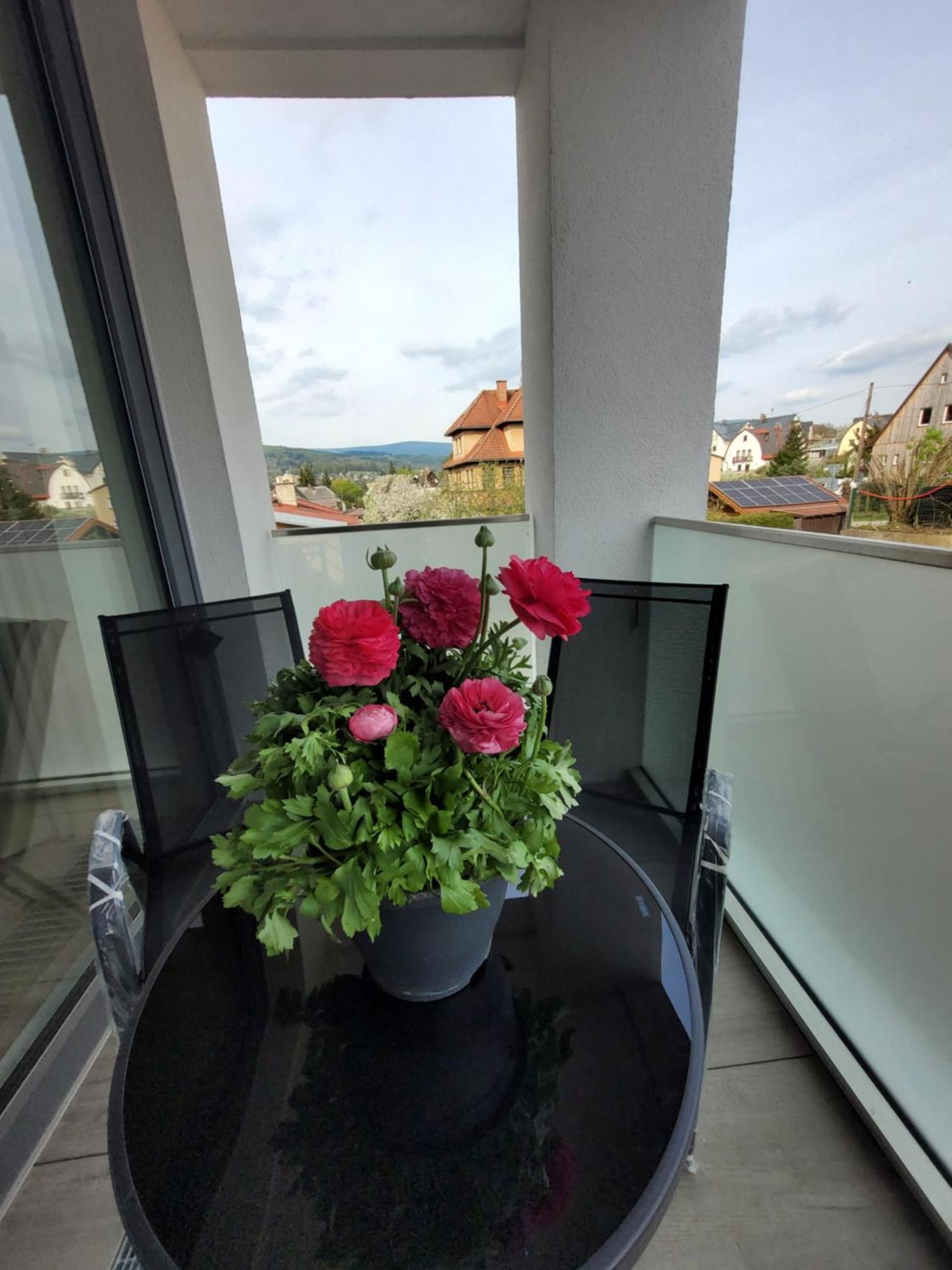 Apartman Bohemika Deluxe Vrchlabí Eksteriør bilde
